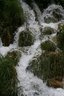 gal/cro 08/_thb_small-IMG_5611.JPG
